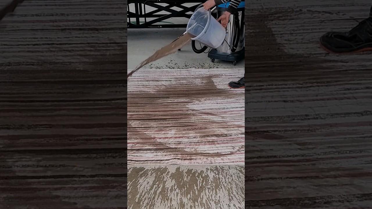 Bucket Time shorts rugcleaning sosatisfyingFilthy Rug Salvaged From