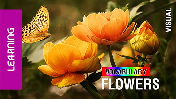 [MYO] Learn: flowers vocabulary - Tên các loài hoa