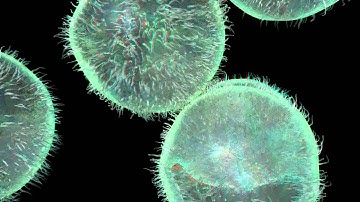 maya soft body cell animation in anaglyph red/cyan 3d