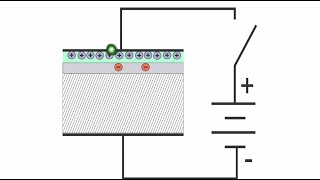 Machine Vision Cameras: How Cameras Sense Light