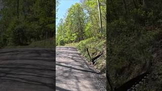 Butterfly Gets Up Close and Personal With Cyclist