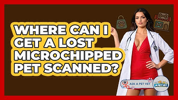 Where Can I Get A Lost Microchipped Pet Scanned? - Ask A Pet Vet