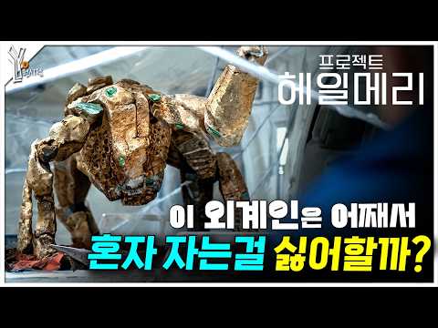 👾로키의 종족 "에리디언" 백과사전ㅣ영화 《프로젝트 헤일메리》 심층해설 thumbnail