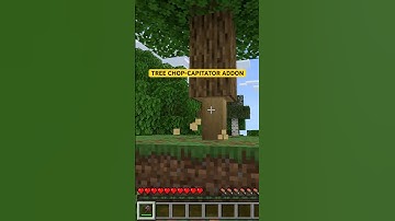 Meet The TRUE Tree Chop-Capitator Addon In MCPE!