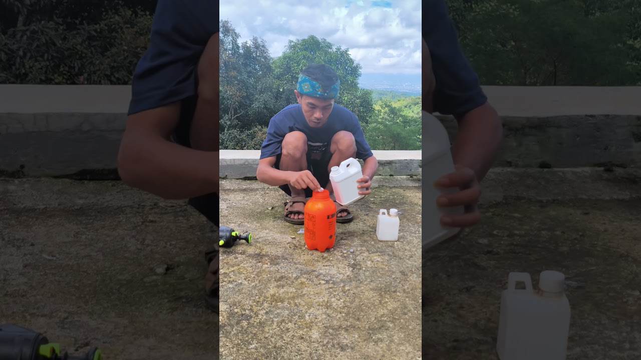 Desinfektan kandang ternak