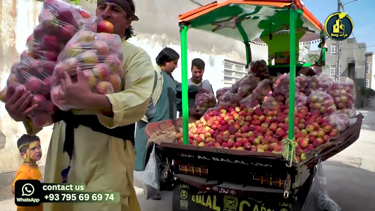 'گیلک گوسفند لندی میکنه