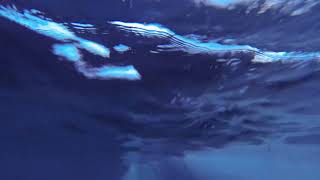 Freediving around an iceberg