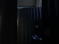 ライブ ハイライト