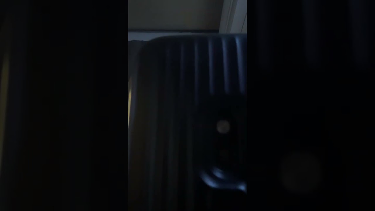 ライブ ハイライト