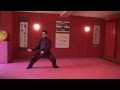 Wang xian chen style taijiquan research institute switzerland