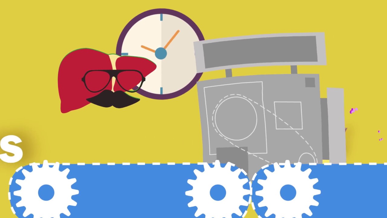 What Does Your Liver Do? 