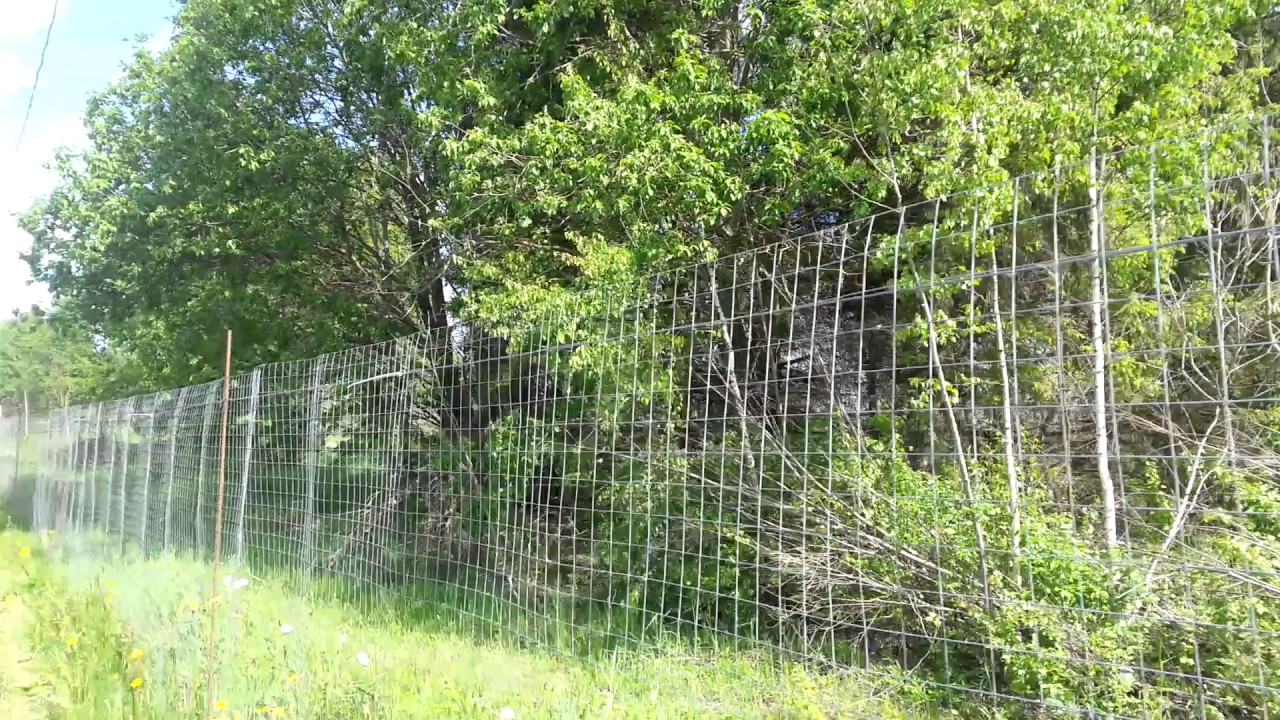 Самый дешевый забор - YouTube