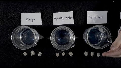 Ocean Acidification for Everyone