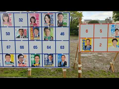 ゲリラ豪雨と江東区選挙