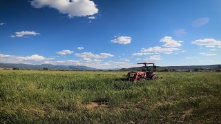 Full Colorado Voices: Conejos and Costilla Counties Update
