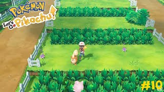 Pokemon Lets Go Pikachu - Part 10: Route 5 & Route 6