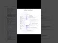 Create Modern Carousels Vertically #coding #tutorial #webdevelopment