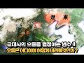 동아시아 고대사의 흐름을 결정하는 변수 요동은 어디이며 어떻게 바라볼 것인가 동아시아 고대사의 흐름을 결정하는 변수 요동은 어디이며 어떻게 바라볼 것인가