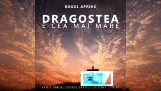 Video thumbnail of "Rugul Aprins - Aleluia Doamne ( 2015 )"