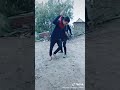 وطريقي عمرا شوك 