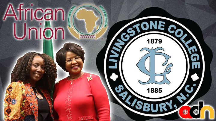 Kimberly Harrington Speaks at the African Union Mi...