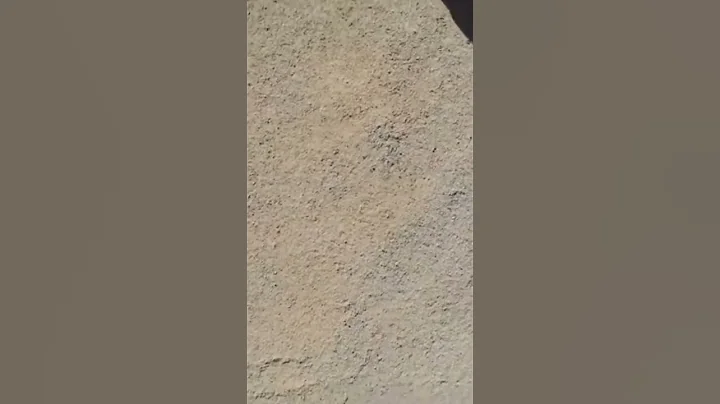 Seven Magic Mountains- Full video on my page