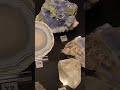 [53/365] museum date ;) #lemonsandwhiteroses365