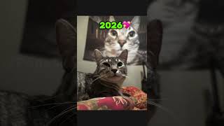 Most Iconic Cat Memes Then Vs Now 💔 🥺