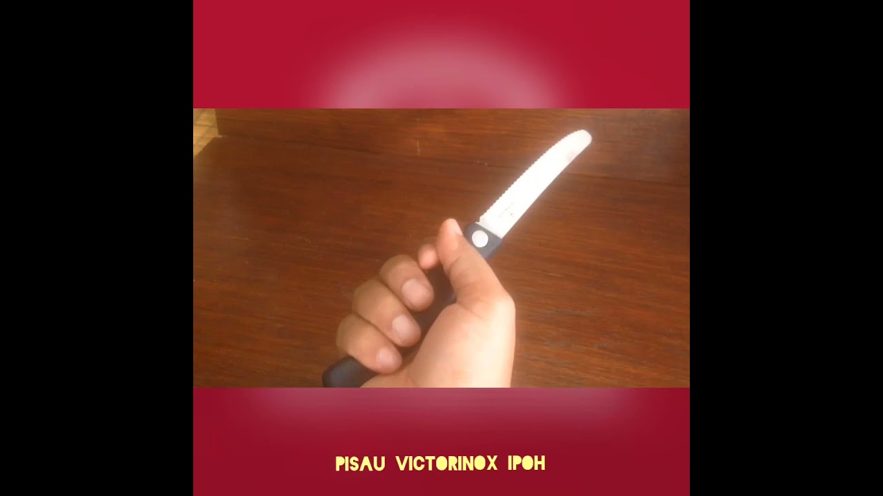 Victorinox Paring Folding Knife