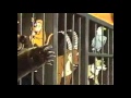 Let S Watch Disney S Fluppy Dogs 1 2 