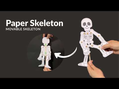 Paper Skeleton Craft | Skeletal System