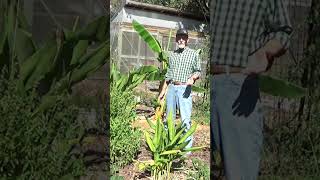 No Is A One Word Sentance