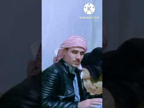 شبل الموالي اخو جملة الرد على الشايب الشعباني يلي مالفلو قصيده كذب