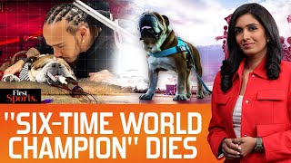 Download Lagu Lewis Hamilton’s Heartbreak: Beloved Dog Roscoe Passes Away | First Sports With Rupha Ramani | N18G MP3 Download Lagu Lewis Hamilton’s Heartbreak: Beloved Dog Roscoe Passes Away | First Sports With Rupha Ramani | N18G MP3