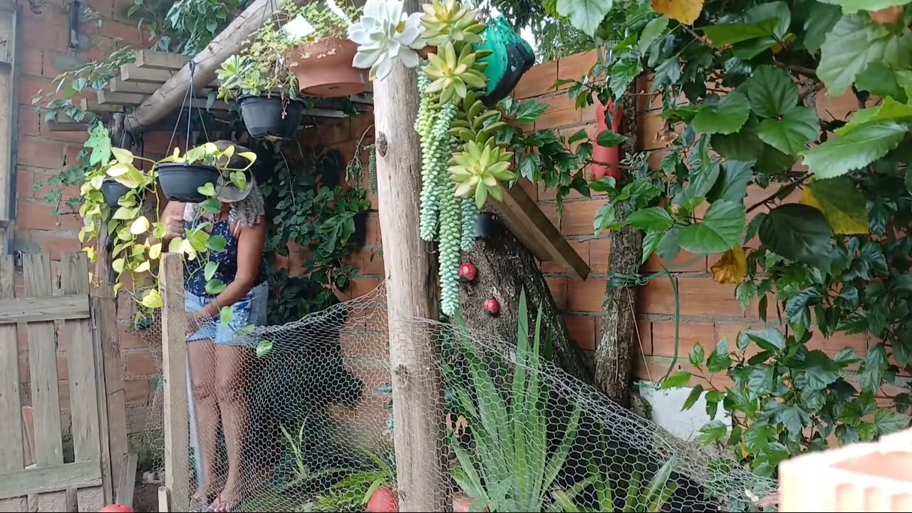 Мой распорядок дня: сегодня я пошел прополоть сорняки на своем ранчо.