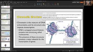 IB Gene Expression