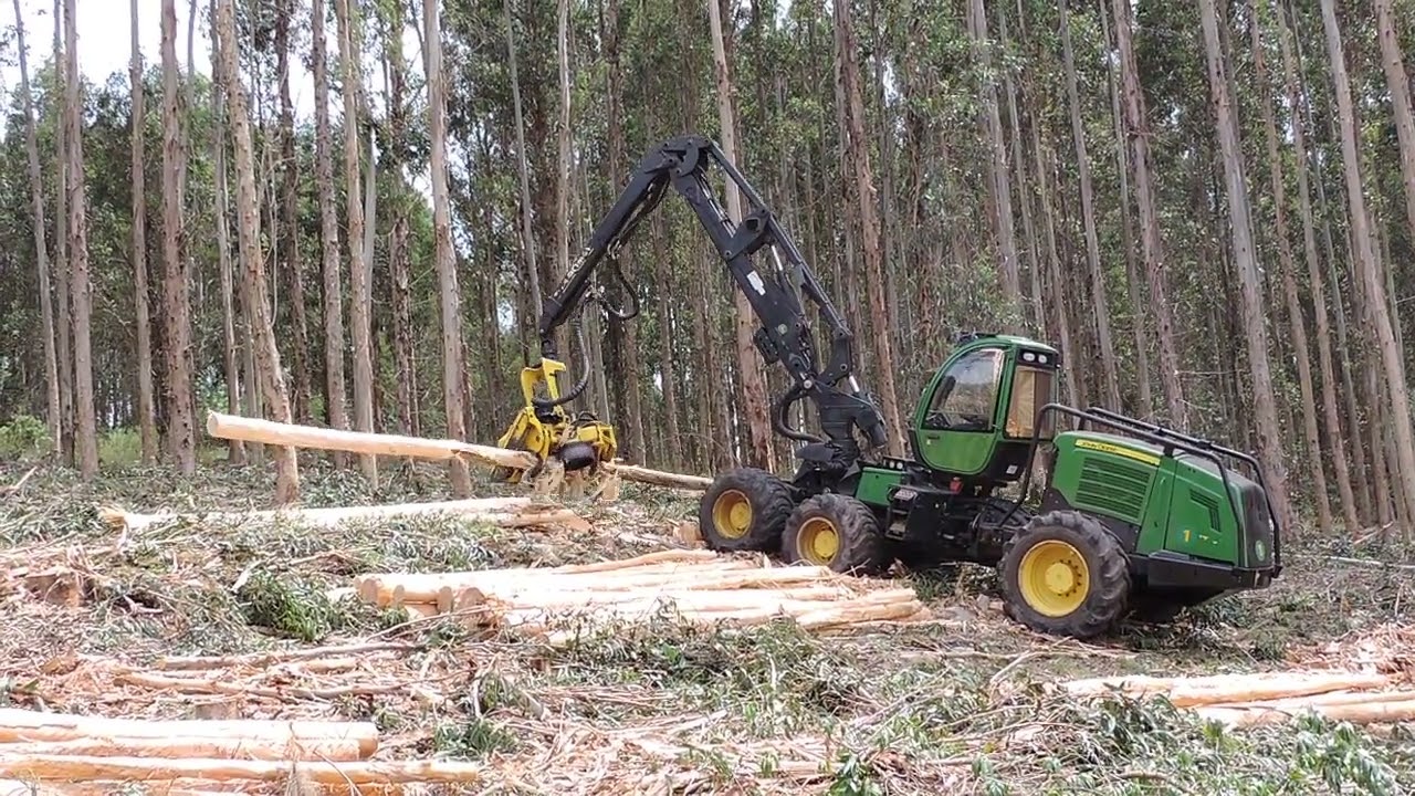 Colheita de Eucalipto - Harvester John Deere