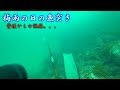 梅雨の日の魚突き【背後からの視線・・・】