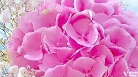 إنما الصدقات للفقراء والمساكين الربع السابع من الجزء العاشر من سورة التوبة الحصري المعلم للقران 🌿