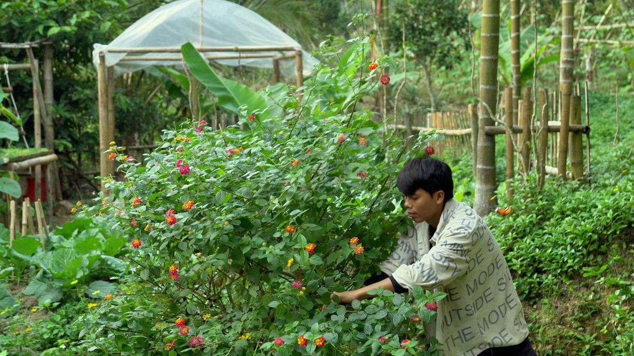 Peaceful and simple moments in everyday life. Taking care of my small garden.