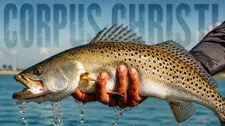 The Fish Were EVERYWHERE… Until Disaster Hit (Corpus Christi, TX)