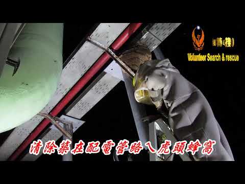 清除築在配電管路ㄟ虎頭蜂窩061011