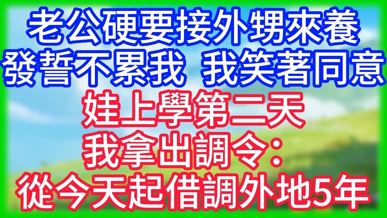 【爽文】老公硬要接外甥來養，發誓不累我！我笑著同意，娃上學第二天，我拿出調令：從今天起借調外地5年！