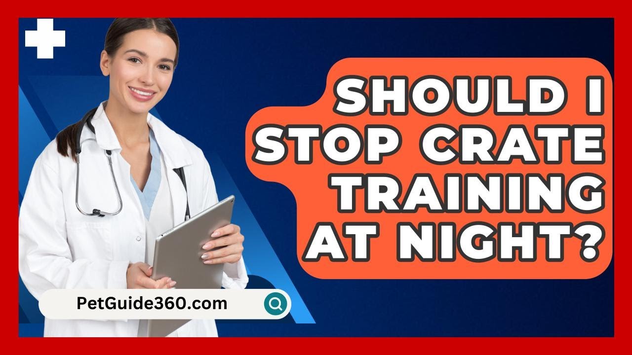 Should I Stop Crate Training At Night? - PetGuide360.com