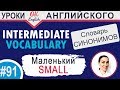 #91 SMALL - Маленький 📘 Английские слова синонимы INTERMEDIATE