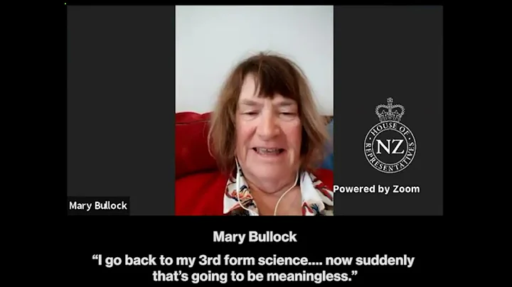 'Birth certificates' bill - Mary Bullock