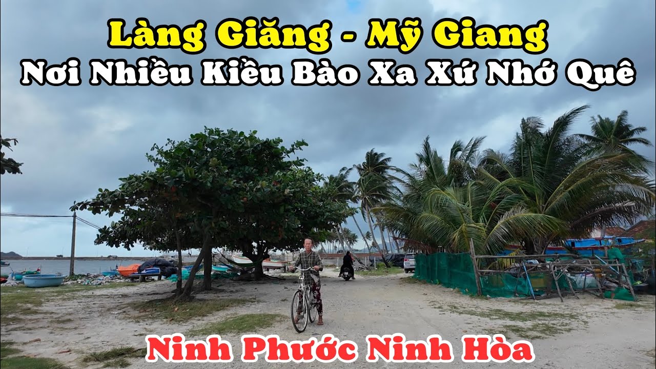 Làng Chài Nổi Tiếng Có Nhiều Kiều Bào Khắp Thế Giới. Xóm Giăng Thôn Mỹ Giang Ninh Phước Ninh Hòa