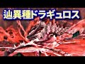 【MHF-Z】辿異種ドラギュロス☆4初見討伐！意外にカワイイ場面もあったり！？