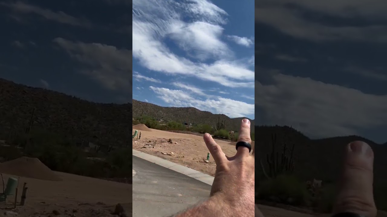 Can you see rattlesnakes in your neighborhood in Arizona?