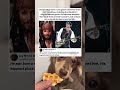 Why Johnny Depp Actually Hates Hollywood Acting... 🤯 #memes #funny #pets